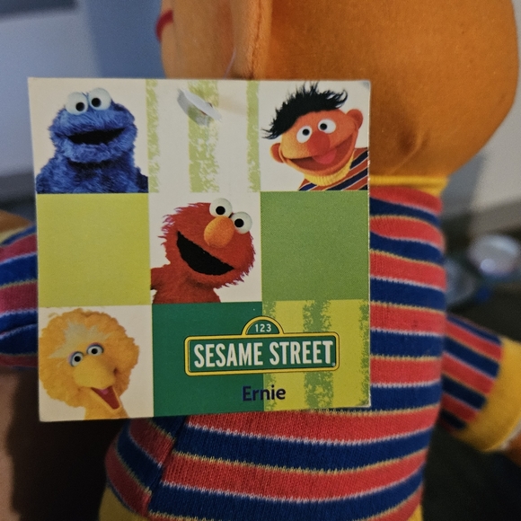 Ernie- Sesame Street - Picture 6 of 6